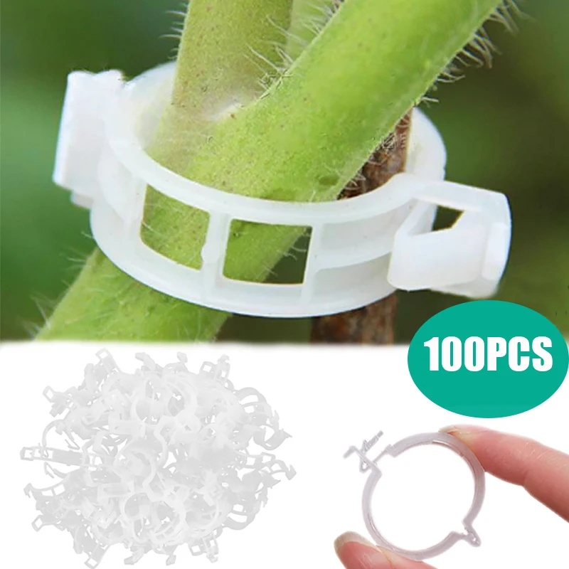 50/100pcs Plastic Plant Clips Supports Connects Reusable Protection Grafting Fixing Plant Vegetable Tomato Tools Garden Supplies