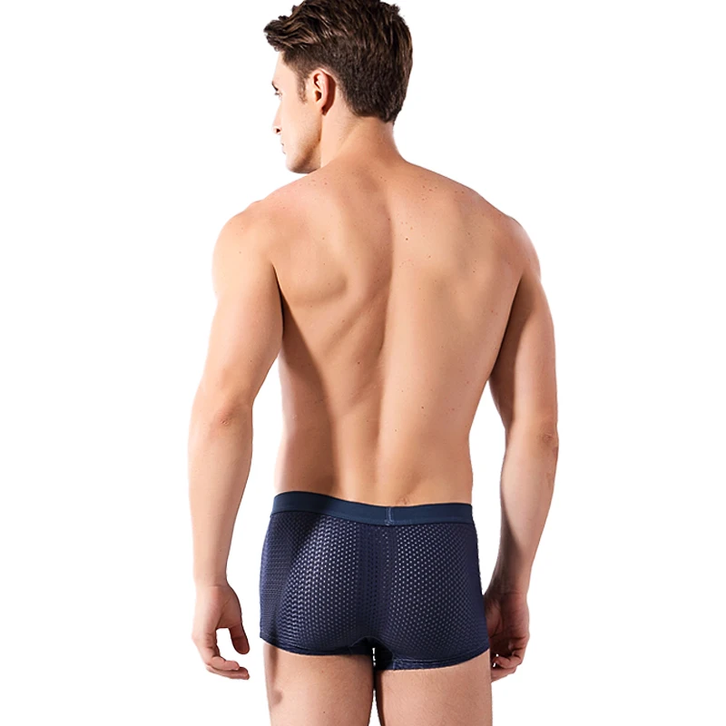 2017 Cool Summer Ice Silk Men's Boxer Shorts Best Selling Super Breathable Mesh Brand Men Underpants 4PCS/LOT M550