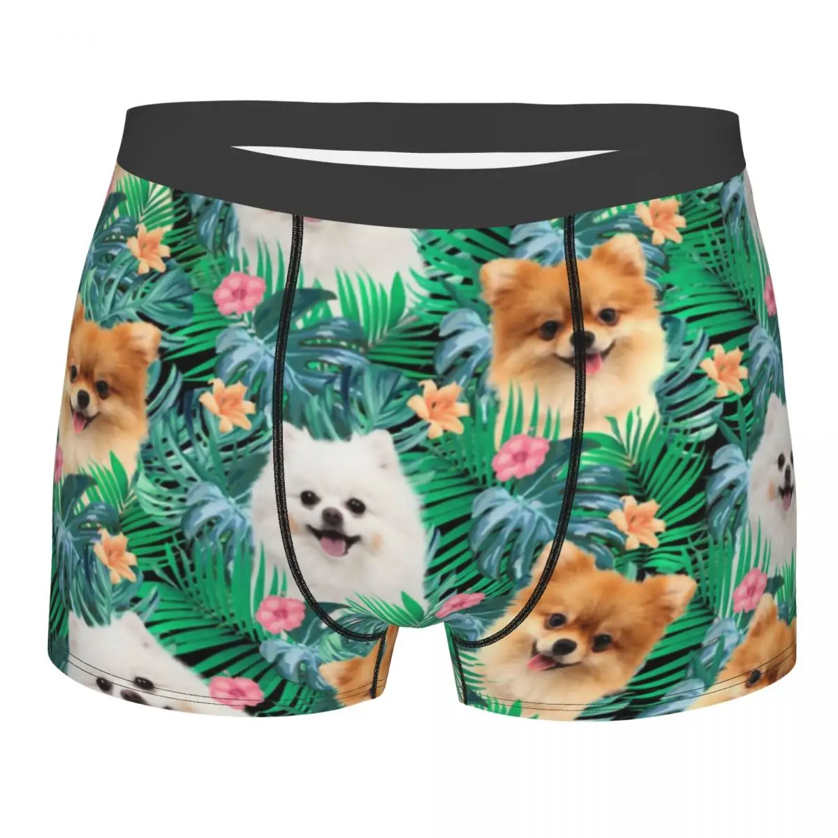 

Custom Pomeranian Dog With Summer Leaf Underwear Men Stretch Pet Spitz Boxer Briefs