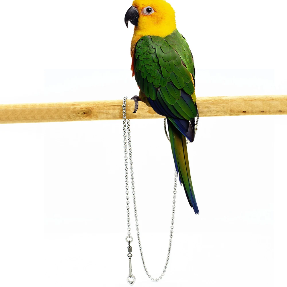 

Bird Parrot Foot Chain Stainless Steel Ankle Foot Ring Stand Chain Outdoor Flying Training Bird Accessories SMLXL