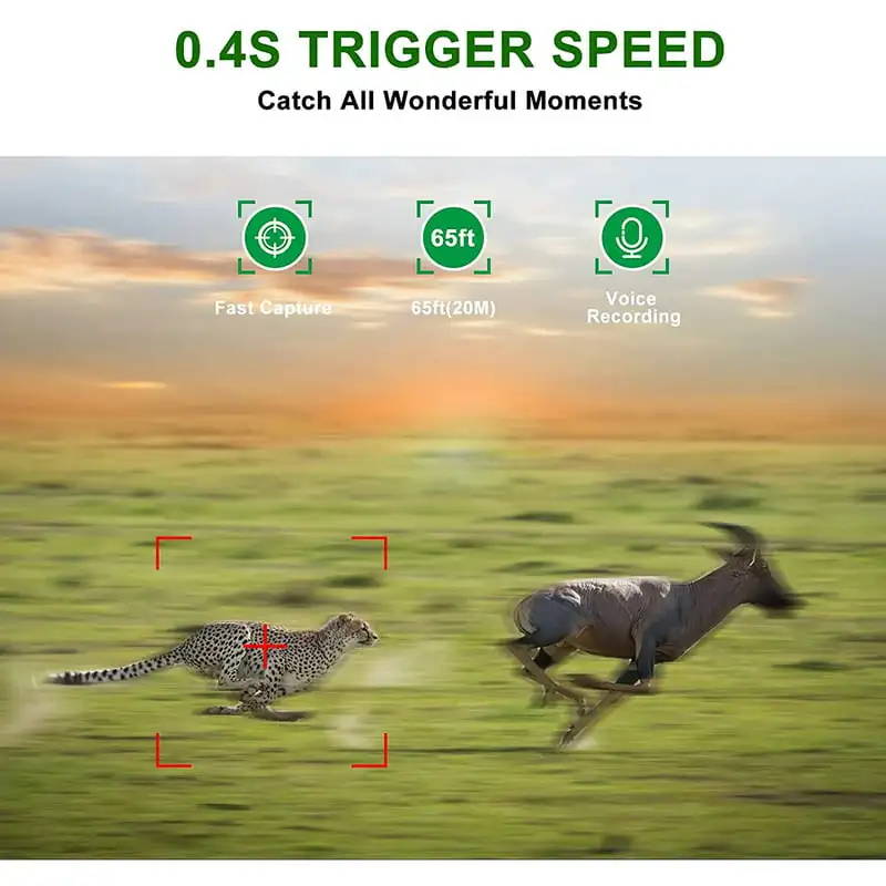 

Camera, 16MP 1080P HD Trail Camera with Night Vision, Wildlife Waterproof Hunting Camera Wildgame, Hunting Trail Monitors