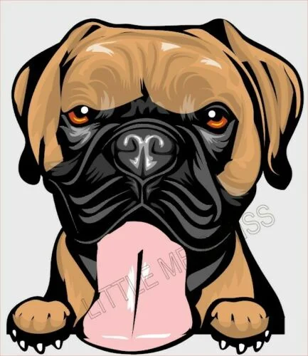 

For BOXER Dog Breed Colour Window Car Decal Sticker Peeking dog w/proof