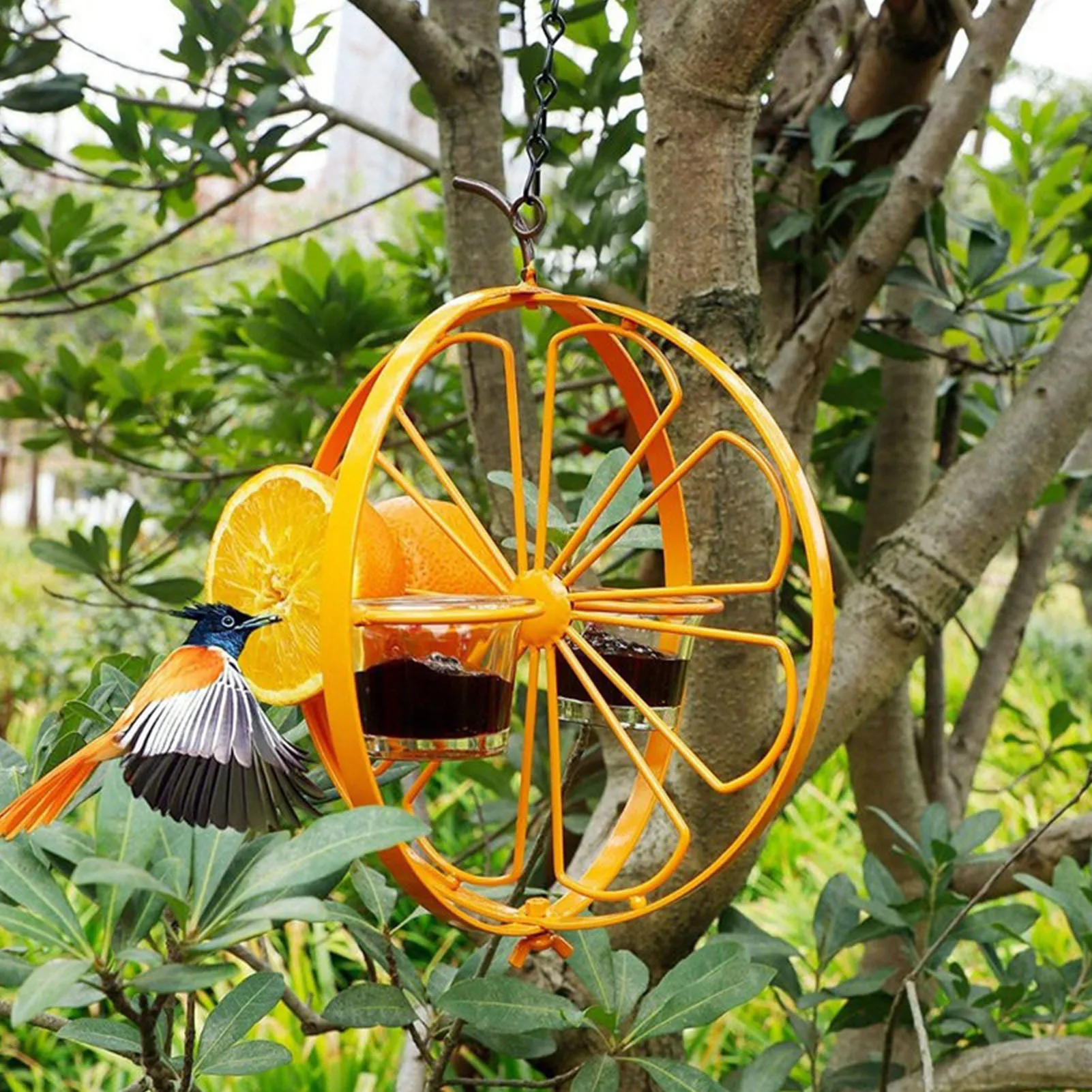 

Кормушки для Колибри для улицы кормушки Иволга кормушка для птицы для улицы садовые кормушки для питья