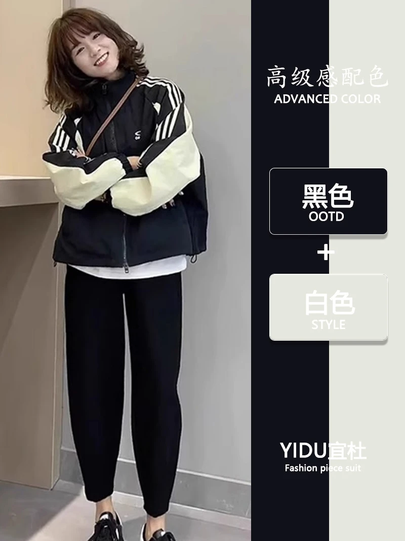This Year's Popular Beautiful Outerwear Women Autumn and Winter Chubby Slimming High-Grade Contrast Color Patchwork Baseball ... |