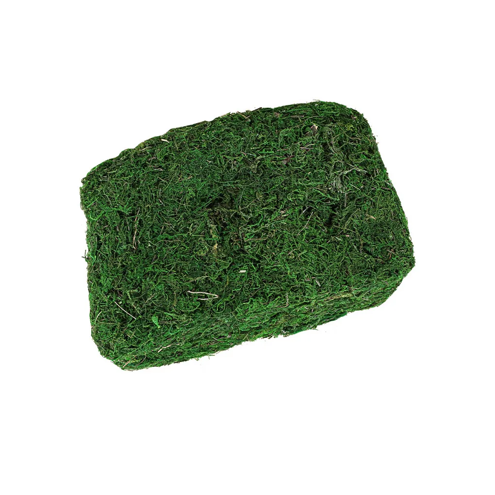 

Искусственный мох, сушеный кирпич, искусственный лишайник, реалистичный цвет, цветочные растения, сад, «сделай сам» для украшения центральных элементов