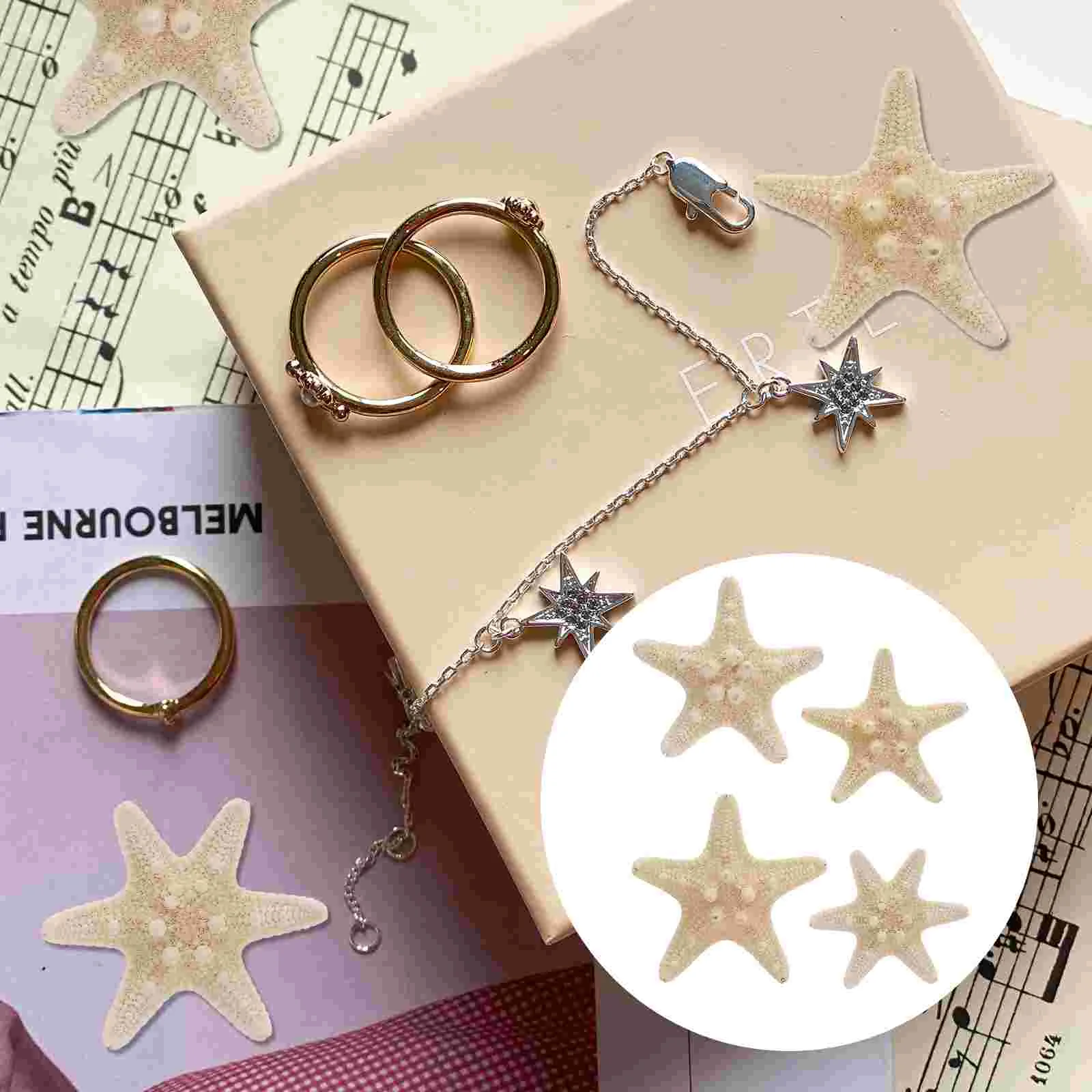 

4 Pcs Beach Gifts Mixed Ocean Star Crafts Star Shell Decoration Natural Overlord Star Knobby Mini Beach Sea Stars