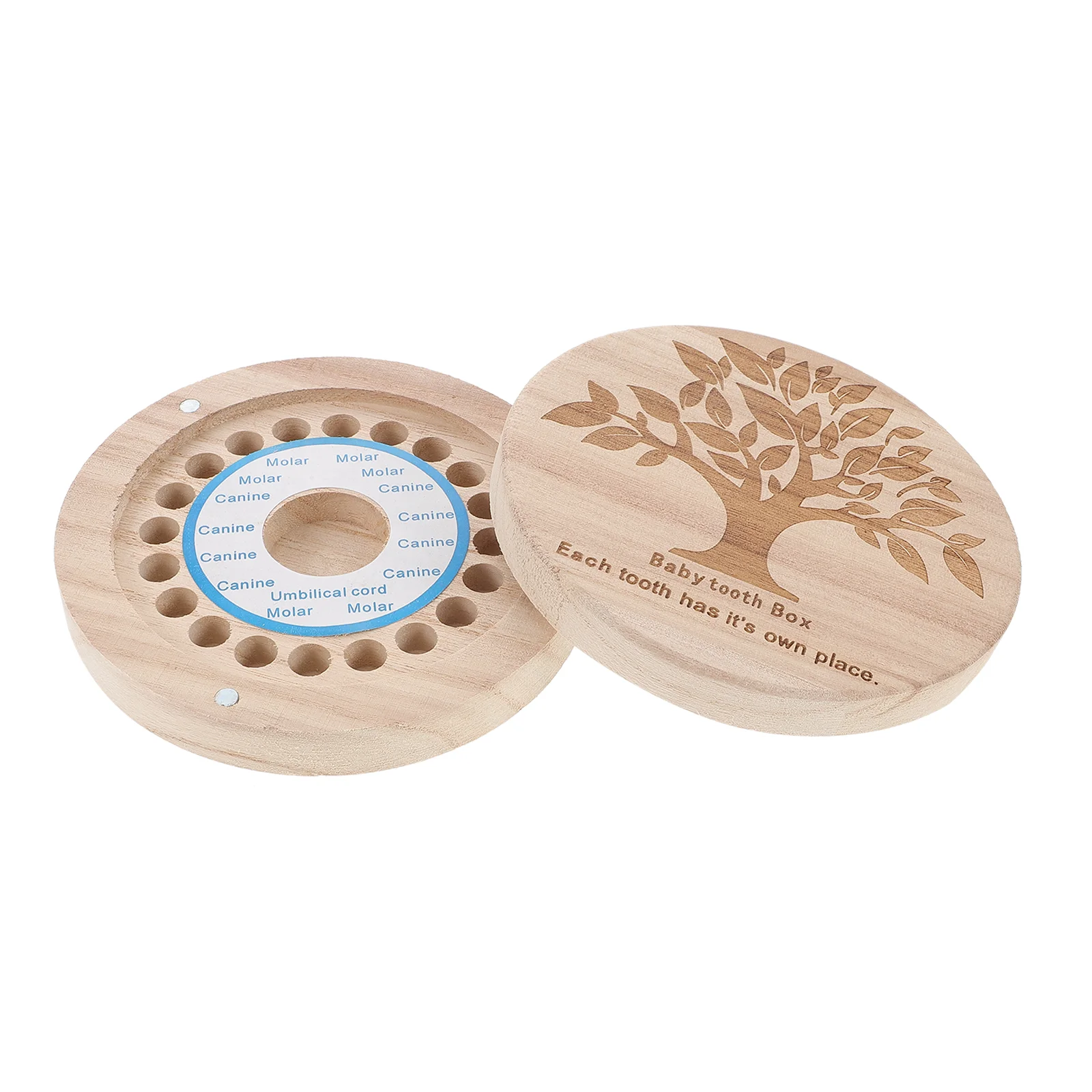 

Baby Tooth Case Tooth Saver Box Tooth Collection Box Kids Memory Organizer Kids Keepsake Organizer Newborn Keepsake Box