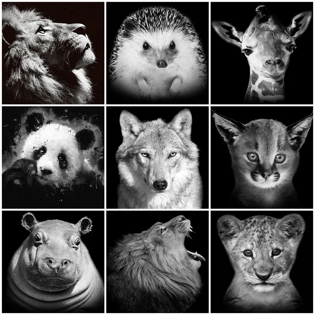 

5D DIY Diamond Embroidery Lion Cross Stitch Kit Full Round Diamond Painting Animal Wolf Handicrafts Gift