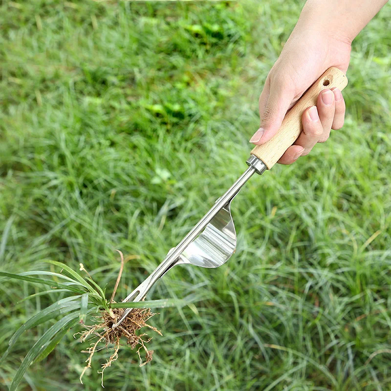 средство для борьбы с сорняками. прополка пастернака. прополка сорняков. 000. прополка травы.