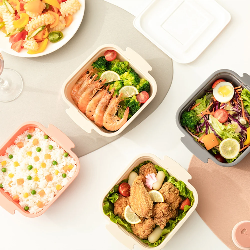 

Set of 4 Plastic Resin Fruit Box Food Storage Container with Lids for Travel Cold and Heat Resistant Lunch Box PP In Stock