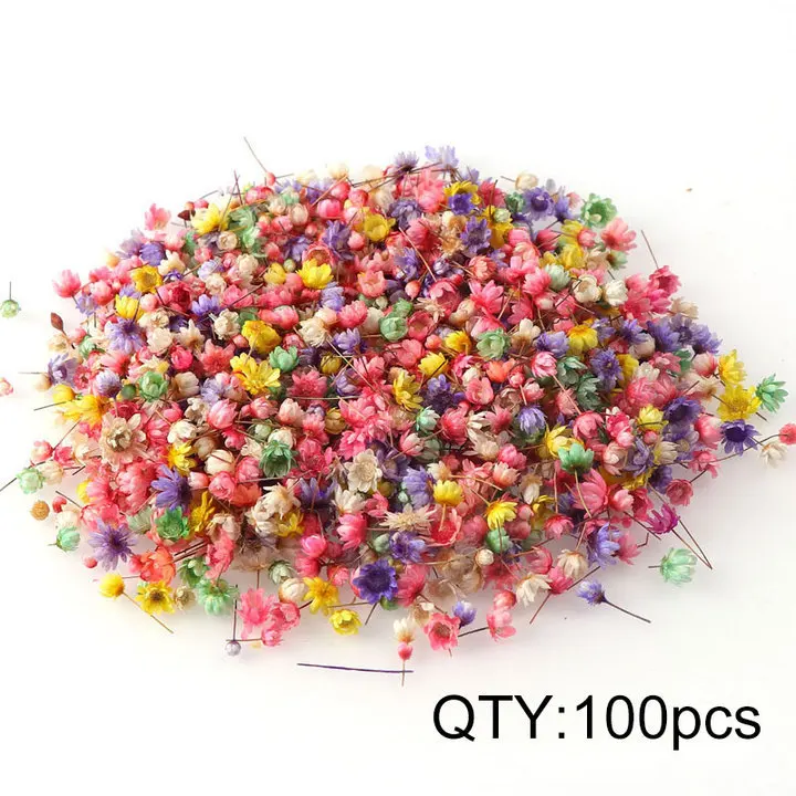 

Мини сухие цветы для рукоделия