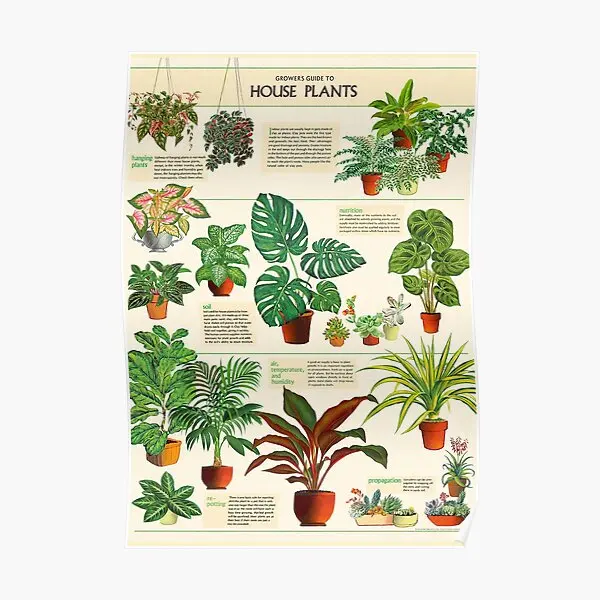 

Vintage House Plants Poster Modern Picture Home Decor Print Vintage Decoration Painting Wall Funny Art Room Mural No Frame