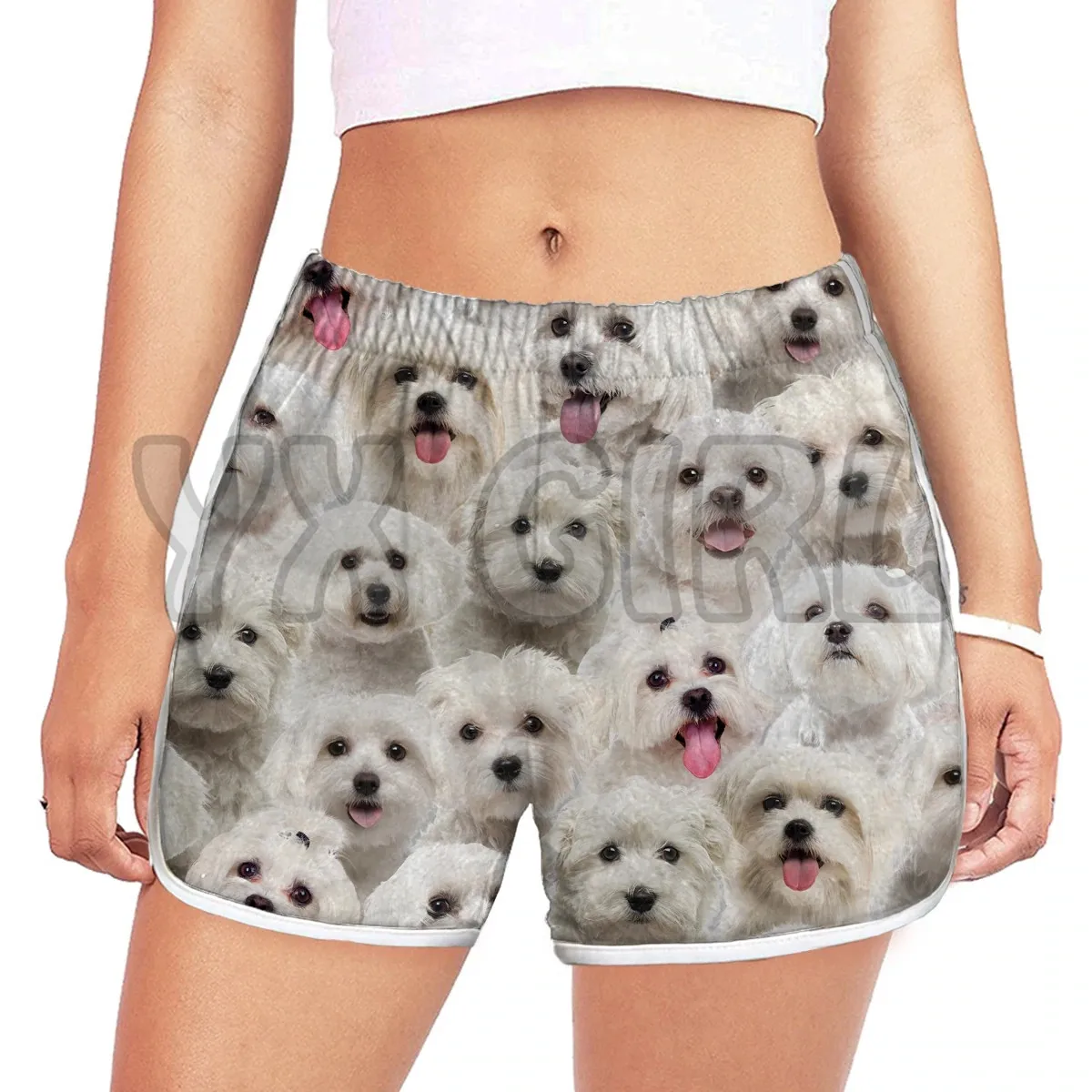 You get a lot of Maltese shorts for women  3D All Over Printed Shorts Quick Drying Beach Shorts Summer Beach Swim Trunks