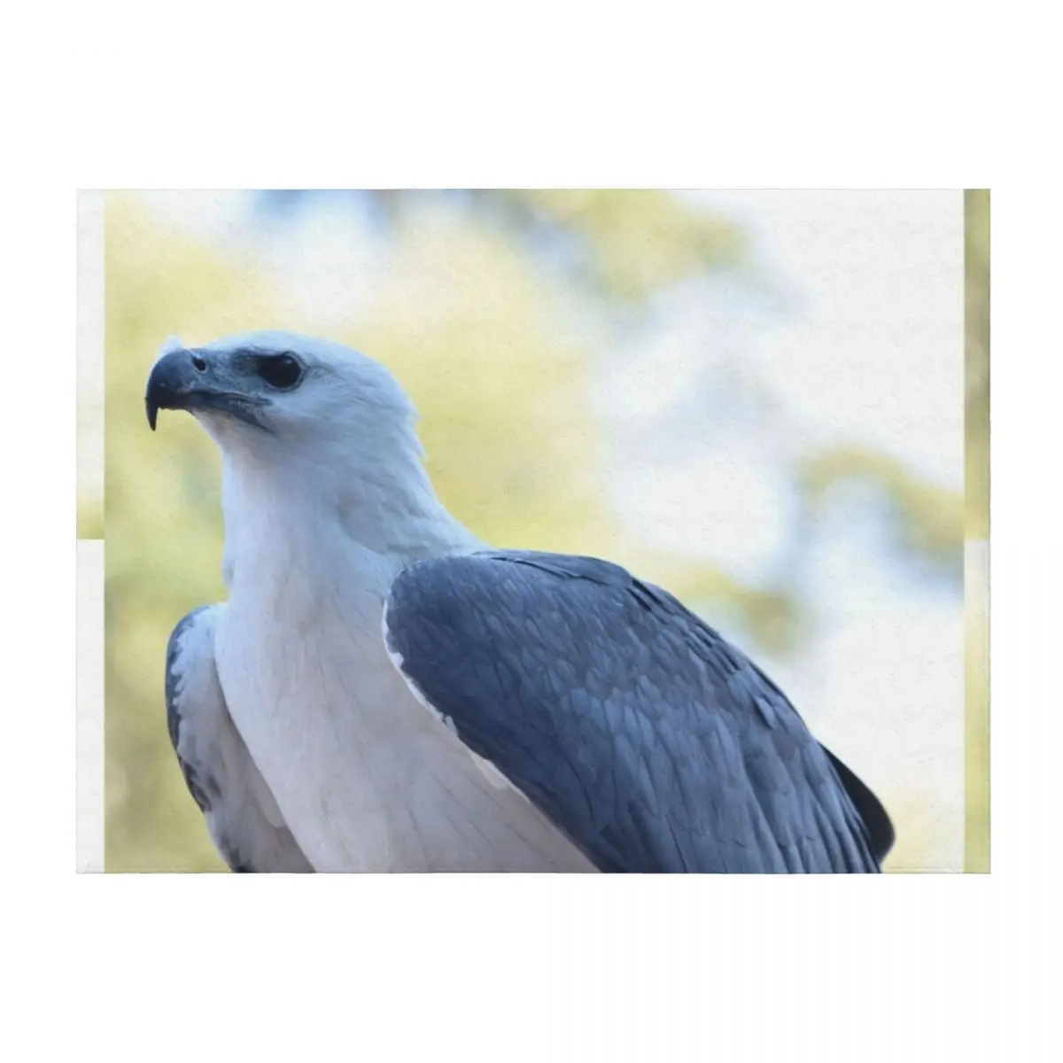 Фото Мараки, Белая? Одеяло «bellied Sea-Eagle», роскошные детские одеяла для дивана St Baby №1