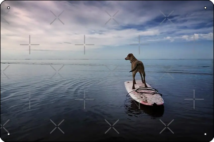 Oedrtqi забавный металлический жестяной знак с художественной печатью для