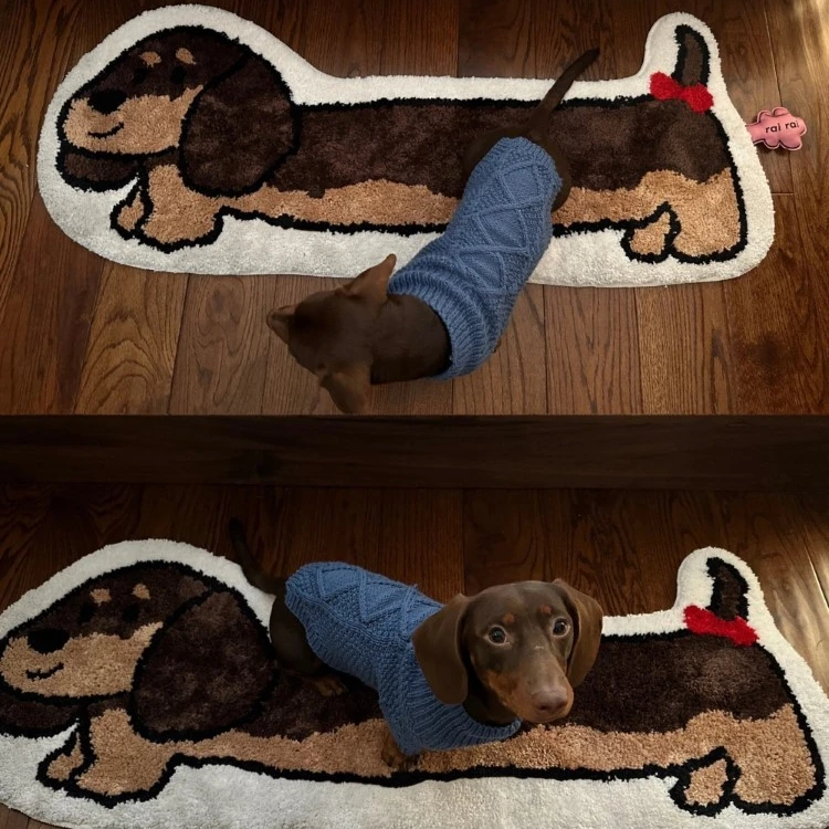 Флокирующий ковер милый для сосисок спальни антигрязевой плюшевый домашний