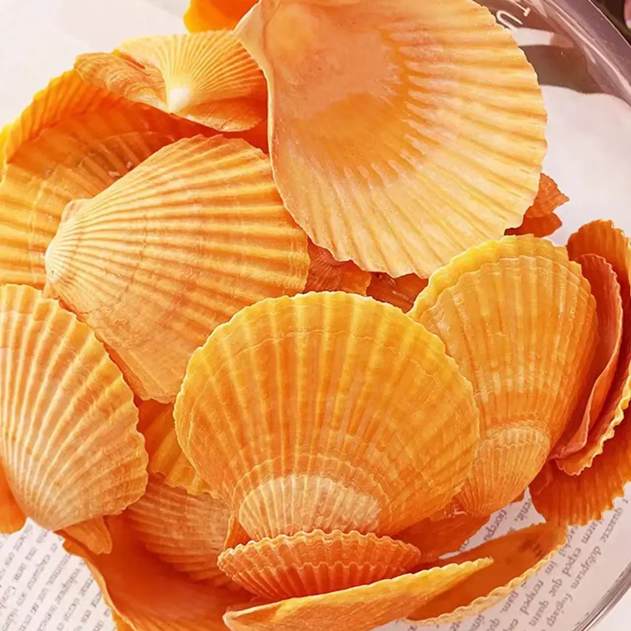 Натуральная Раковина Морская звезда морская билиарная раковина рыба