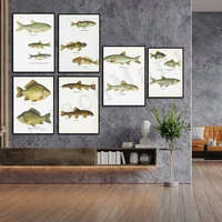 vintage fish print unframed freshwater fish nature animal print poster aquatic fishes