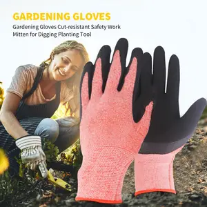 Usando guantes de jardinería fotografías e imágenes de alta