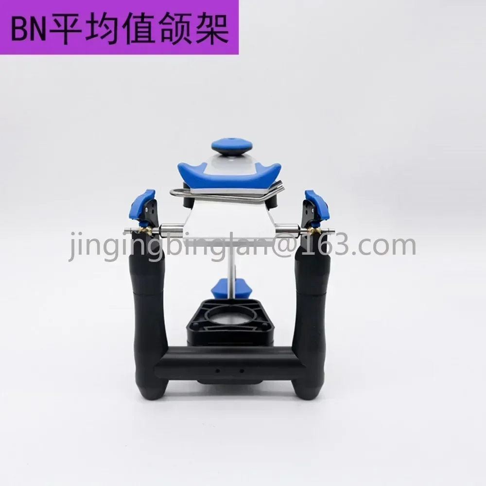Dental BN frame average jaw function technician unplaning type occlusal for teaching