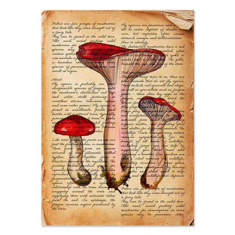 

Ретро постеры с грибами и растениями на холсте