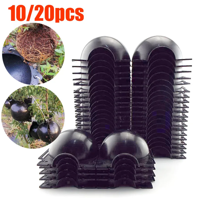 

10/20pcs Plant Rooting Ball fruit tree Root grow box plastic case propagation Box Grafting Rooter Growing High-pressure ball