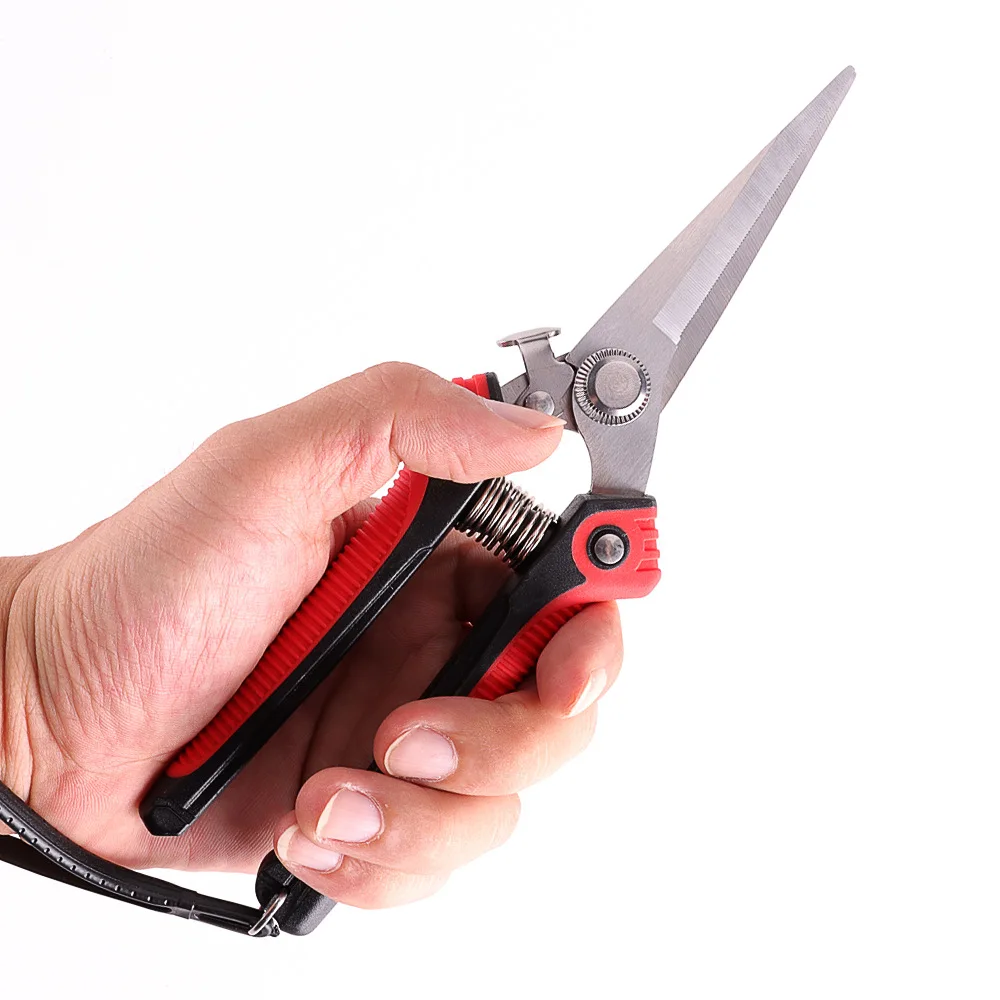 Аэрозольные Секаторы. Острые Садовые Сбор Ветвей Фруктов И Овощей. Инструменты