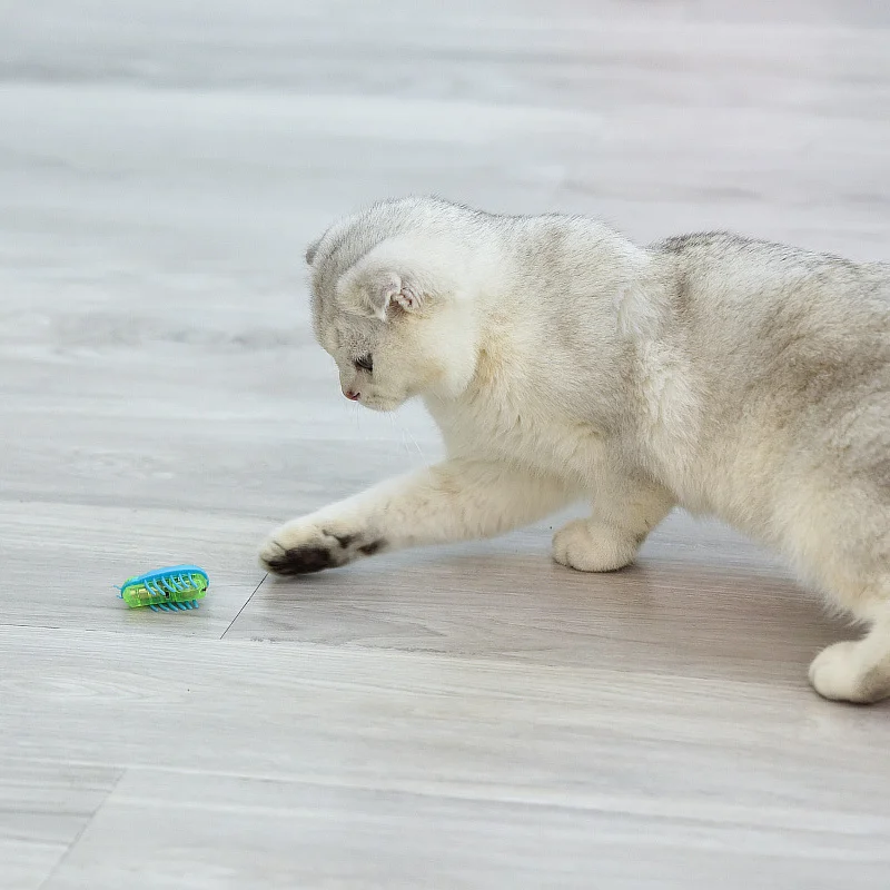 

Электрические игрушки-насекомые для кошек, искусственные самодвигающиеся мини-игрушки-насекомые, интересные привлекательные игрушки-животные, Аксессуары для кошек