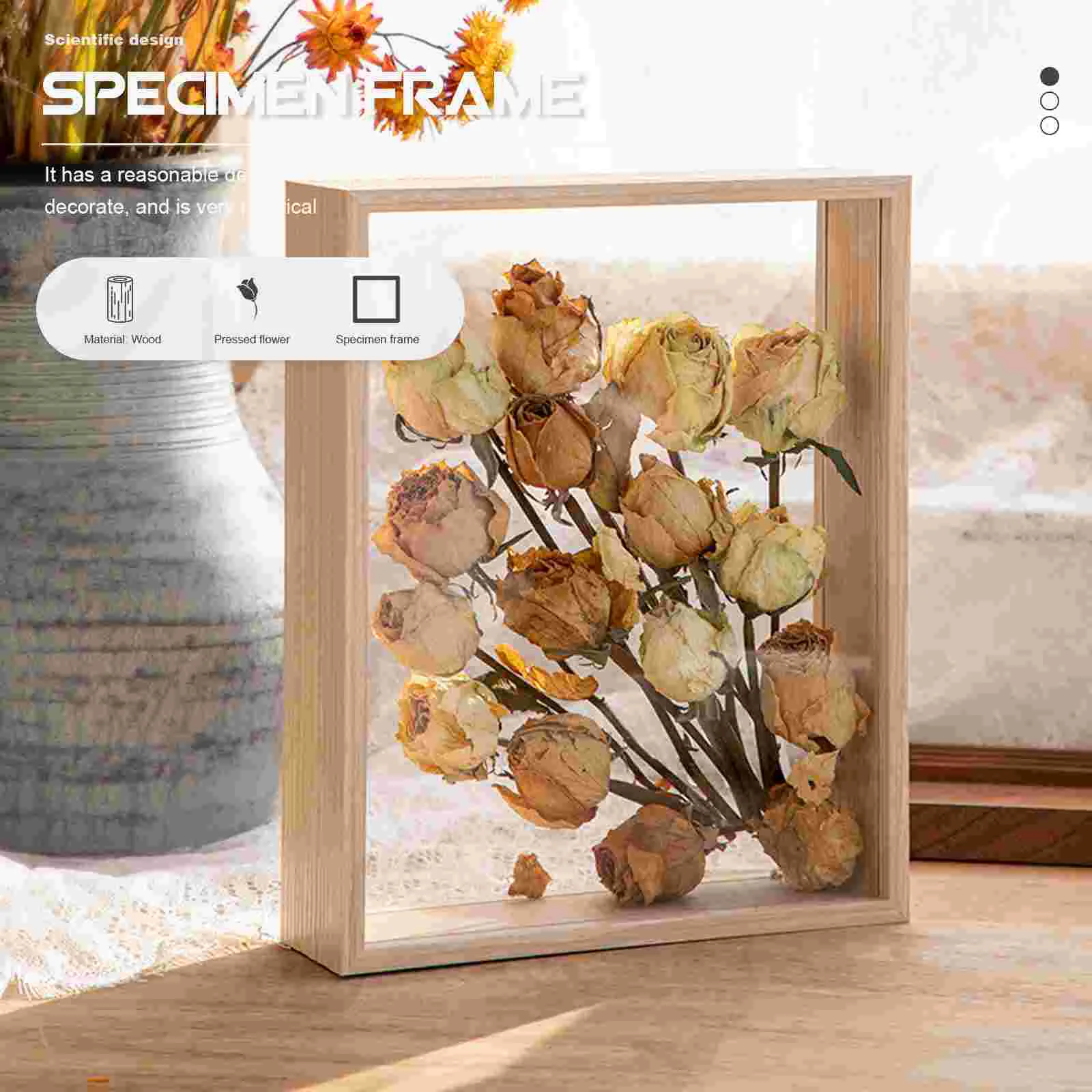 

Rustic Frames Dried Flower Photo DIY Dry Specimen Display Flowers Supply Displaying Transparent