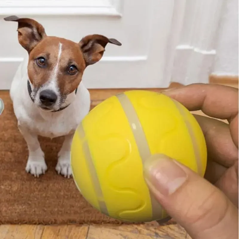 

Smart Interactive Dog Toy Ball For Puppy Indoor Waterproof Bite Resistant Glowing Remote Control Cat Dog Ball Dog Accessories