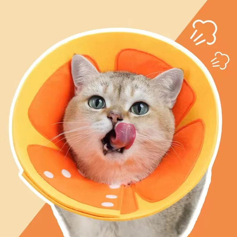 

Flower Shaped Cat Recovery Collar Elizabethan Collar Wound Healing Protective Cone for Kitten Puppy 1Pcs