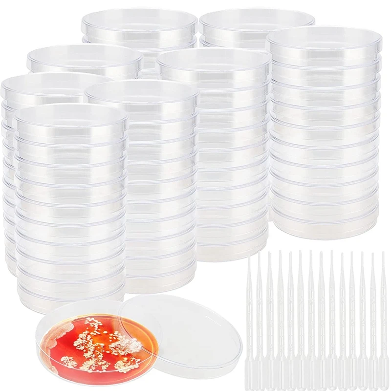 

80 Pack Clear Sterile Petri Dish Glass Petri Dish Dishes With 200 Plastic Transfer Pipettes(3ML)
