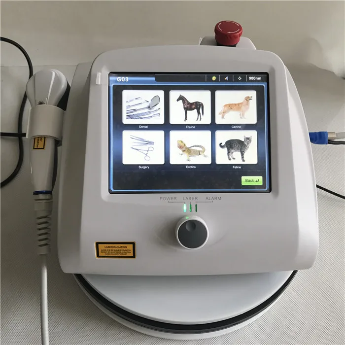 980nm Laser Pain Relief Therapy Device/Physiotherapy machine class 4 laser treatment for pain