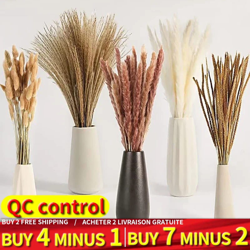 

Buy 4 Get 1 Free High Quality Natural Dried Flower Rabbit Tail Pampas Reed Dried Bouquet Wedding Party Decoration Plants