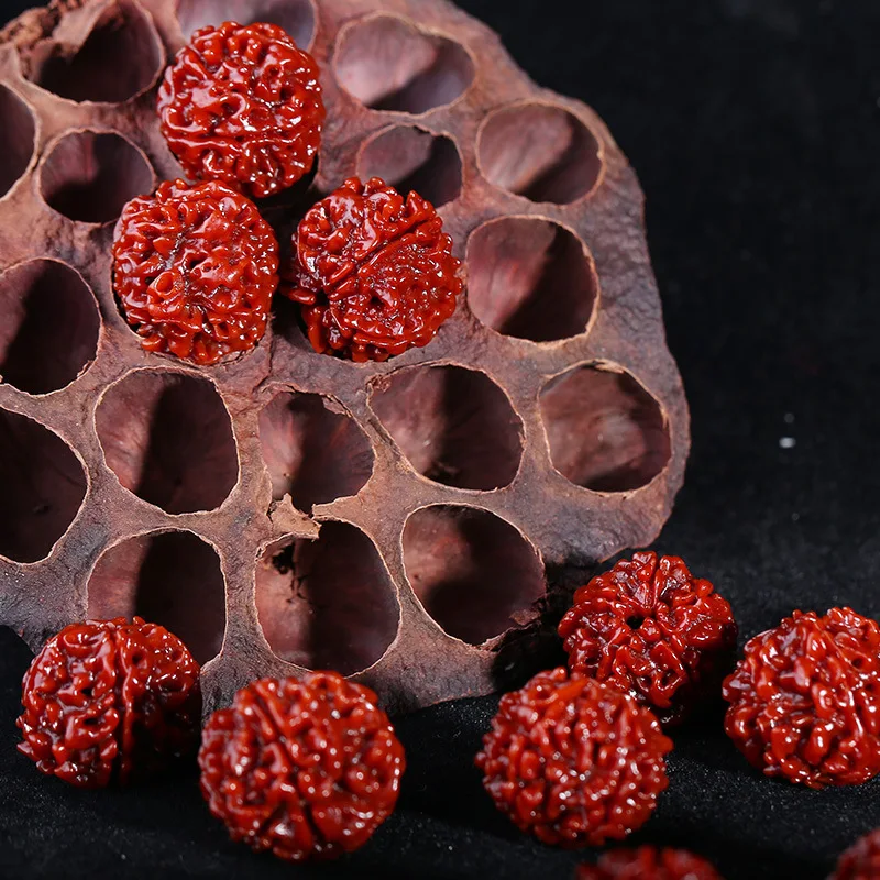 Прямые продажи с фабрики Непал Рудракша машина кисть Цзинанг Бодхи пять граней