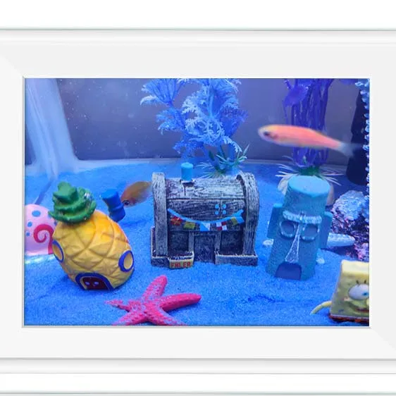 Fish Tank Decoration Landscaping Solid Accessories Mini Aqua