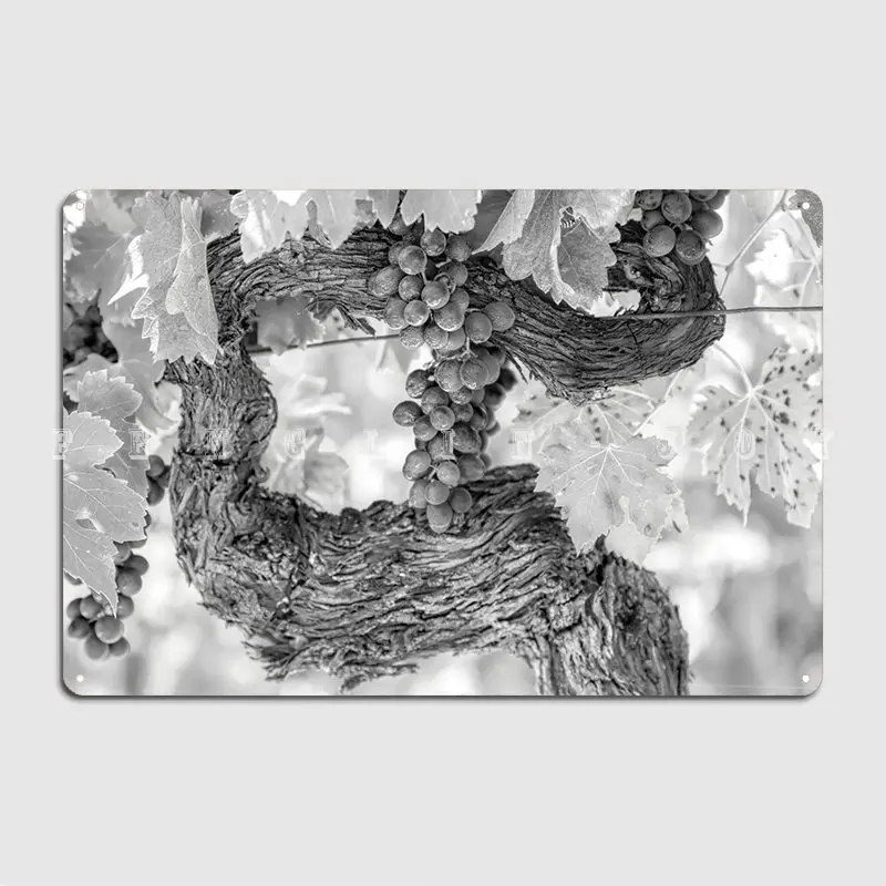 

Виноградник и виноградник, металлический знак, кинотеатр, гостиная, клуб, бар, индивидуальный жестяные пластинки знак, постер