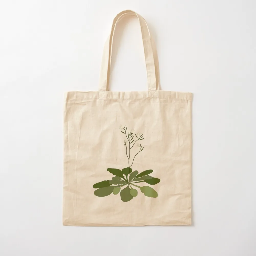Arabidopsis - STEM Эксперимент Большая сумка с цветочной иллюстрацией эстетическая для