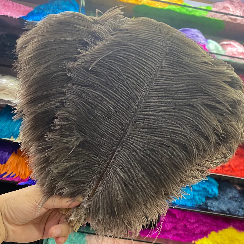 

Wholesale 50pcs/lot Natural Color Ostrich Feather 35-40cm/14-16inch Wedding Jewelry Celebration Carnival Feathers for Crafts