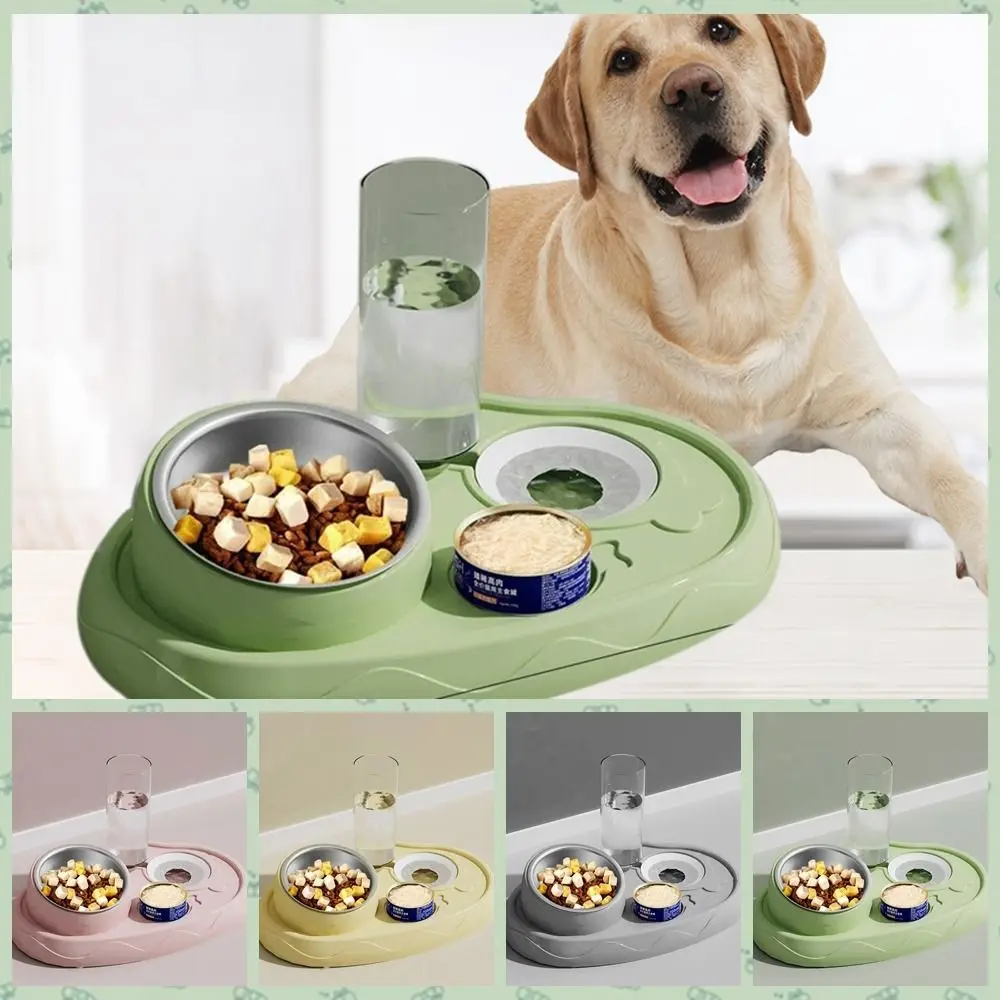 

Plastic Cat Automatic Feeder Stainless Steel Double Bowl Cat Food Bowls Detachable 15 Degrees Tilted Puppy Feeding Container