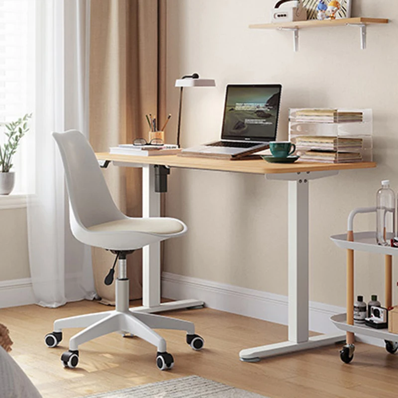 Office Comfort Recliner Home Office Chair Throne Vanity Chea