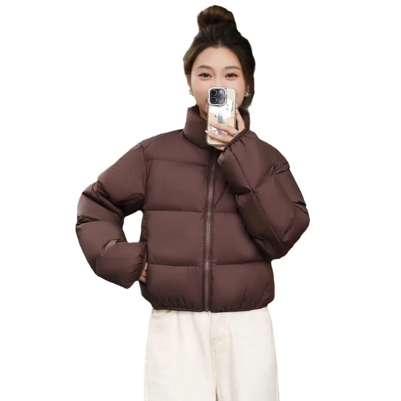 Рисунок 5 - Коричневая короткая зимняя куртка