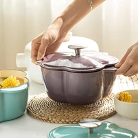 enamel pot cast iron household 20cm household soup gas electromagnetic universal kitchen pot soup pot