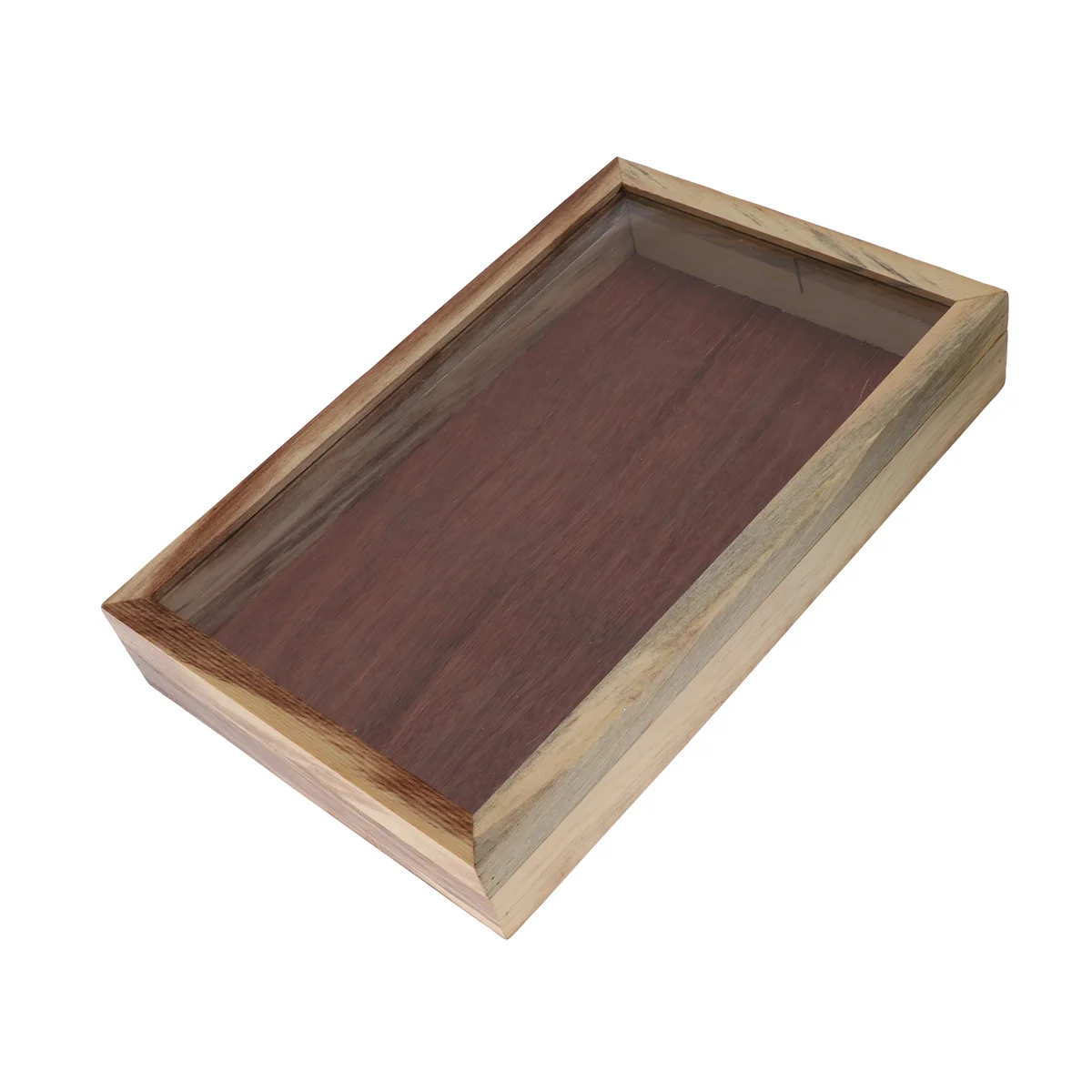 

Display Box Case Small Insect Glass Shadow Jerseycasesfor Pin Kit Dissection
