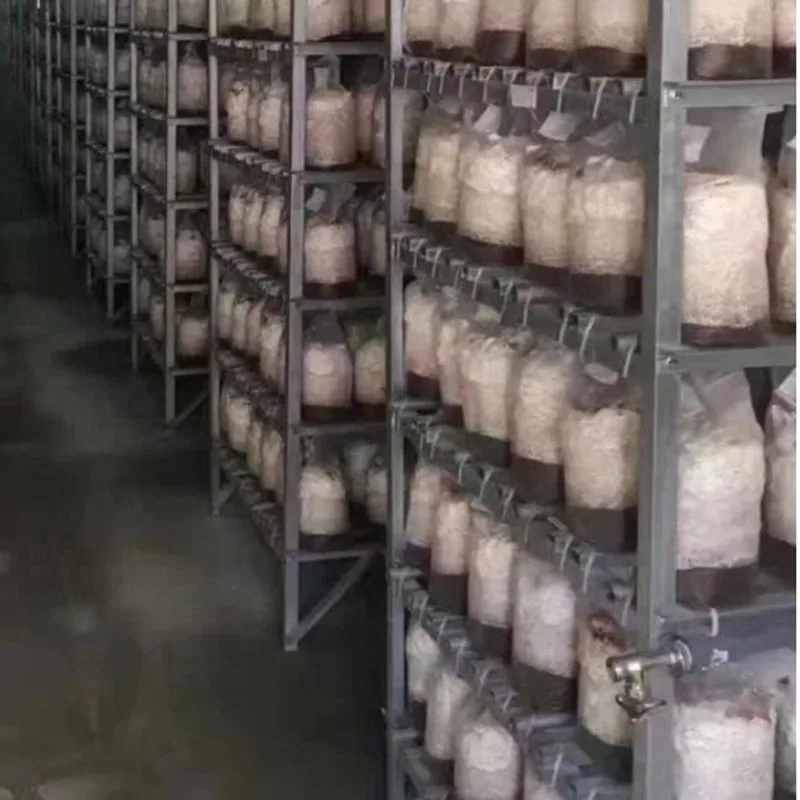 5 шт. 10 пластиковые пакеты для выращивания овощей 18x35 см