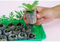 30pcs25mm jify peat plantingcuttinggarden suppliesseed startervegetable seeds pellete new planterspring need