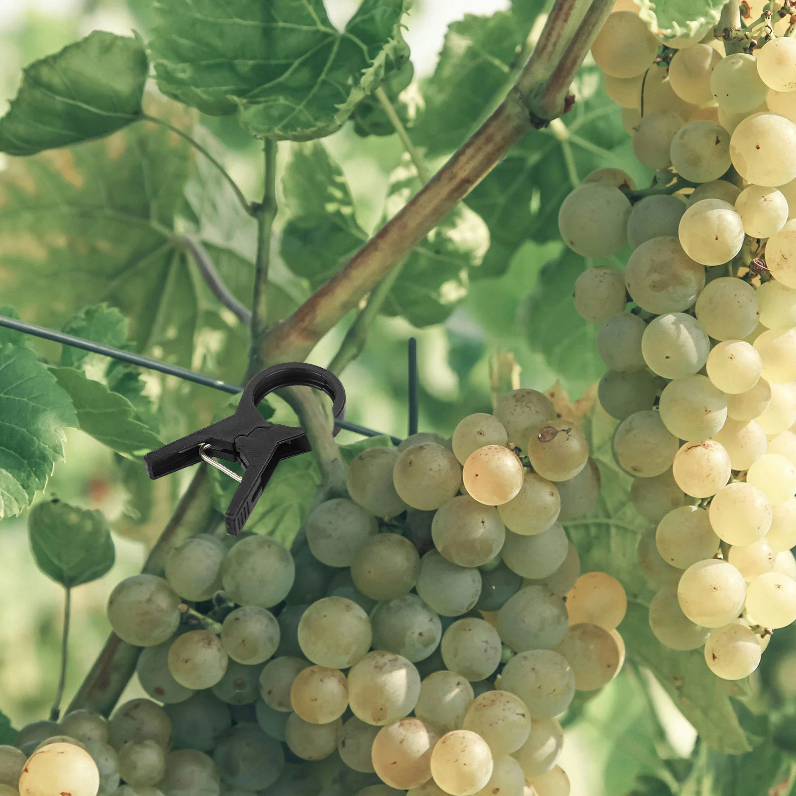 100 шт. подвесной зажим сельскохозяйственная теплица томатный пластиковый