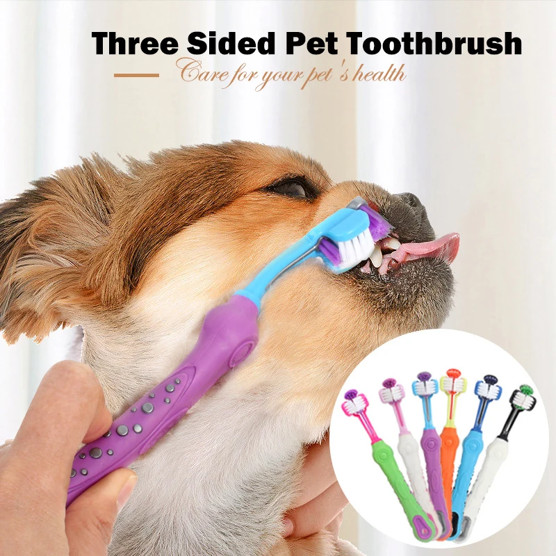 

Hot Selling Three Sided Pet Toothbrush Dog Brush Addition Bad Breath Tartar Teeth Care Dog Cat Cleaning Mouth YH-461651