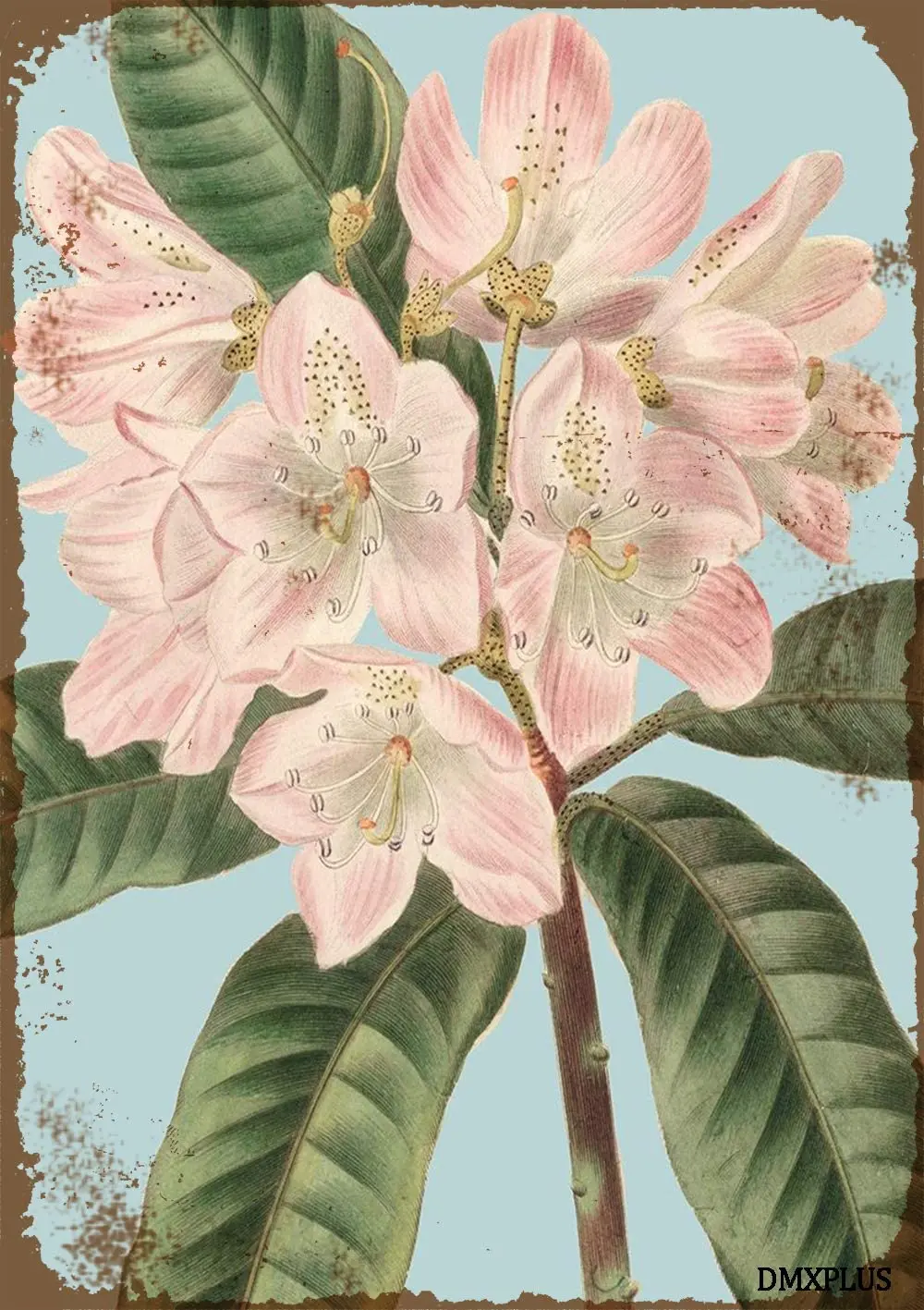 

Настенный декор для кухни и гостиной, 8x12 дюймов