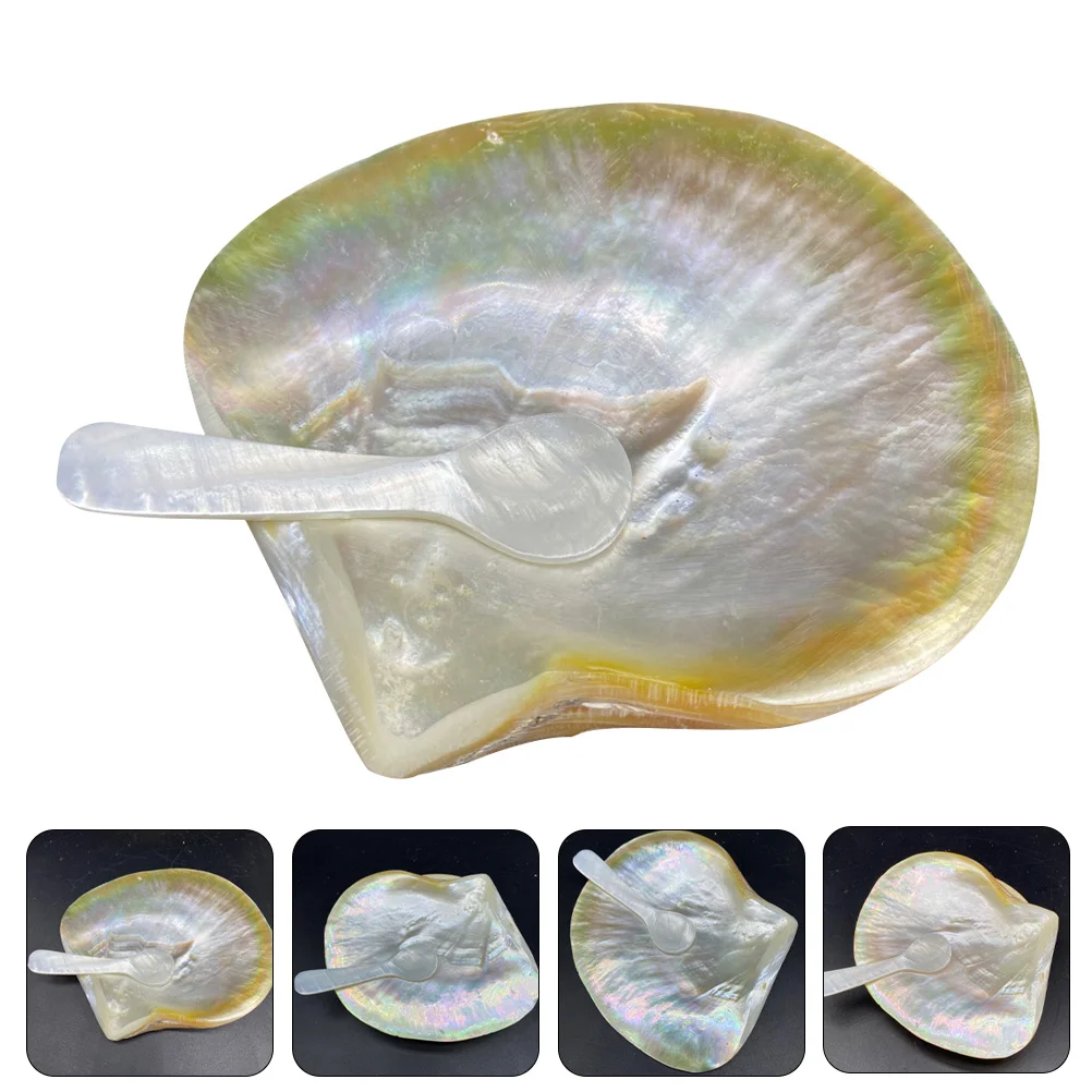 

Plate Dishes Plates Shell Appetizer Sushi Bowls Dipping Dessert Serving Tray Snack Seasoning Condiment Platters Salad Scallop